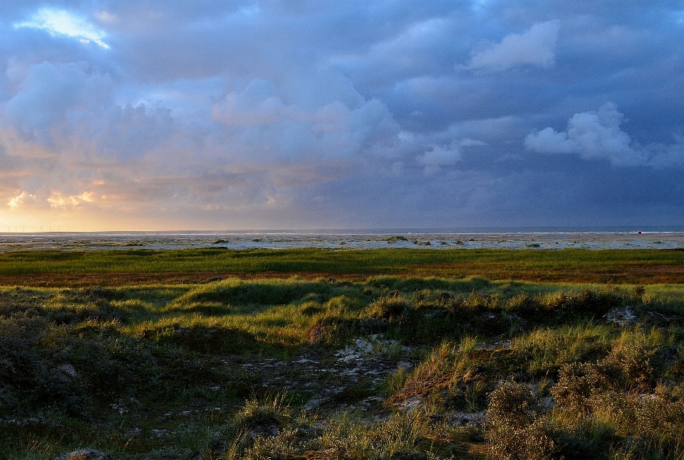 Plage paysage mer côte