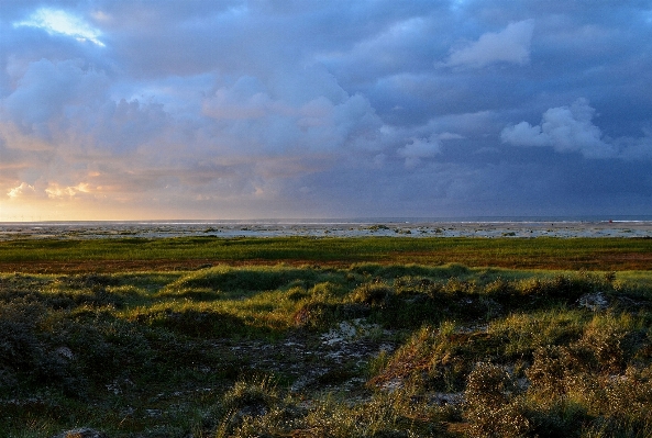 Zdjęcie Plaża krajobraz morze wybrzeże