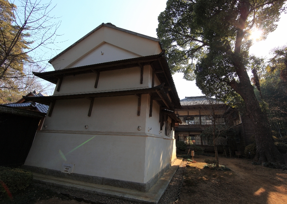 Architecture house roof building