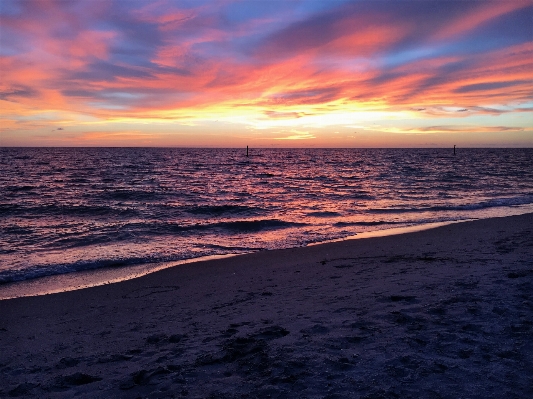 Beach sea coast nature Photo