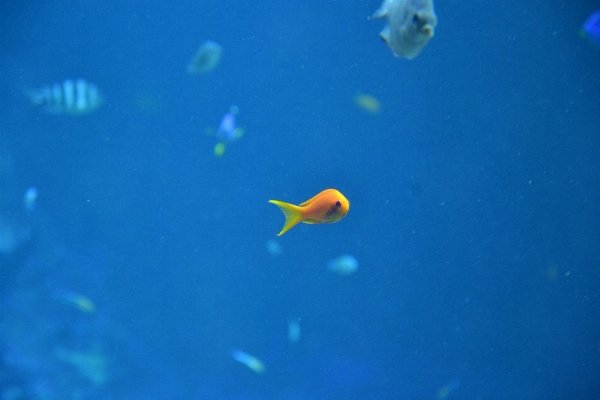 海 水 海洋 シーサイド 写真