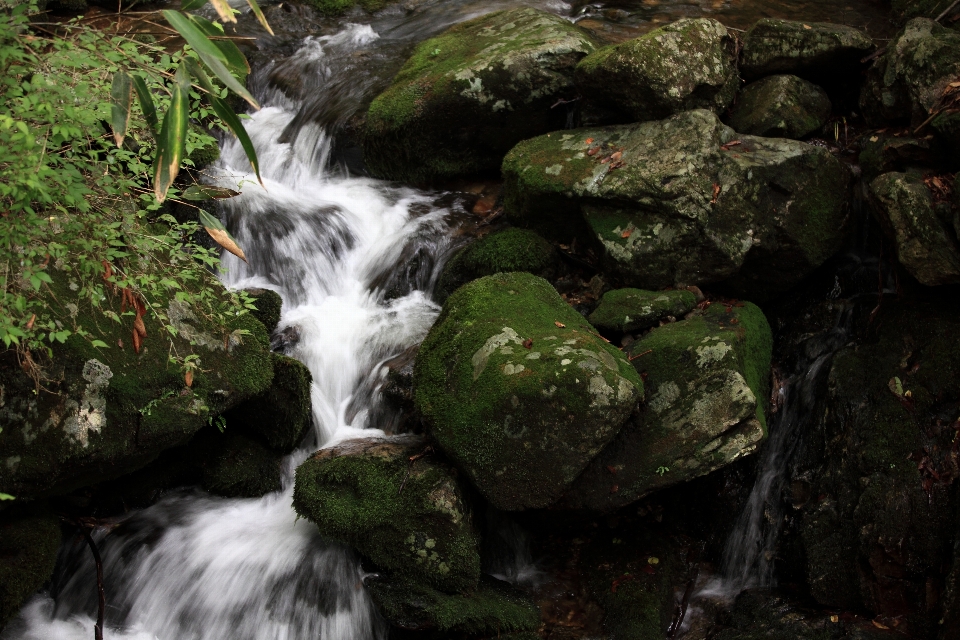 水 自然 森 rock