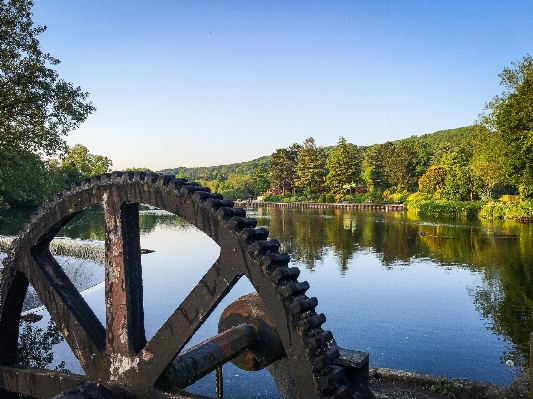 Tree water bridge countryside Photo