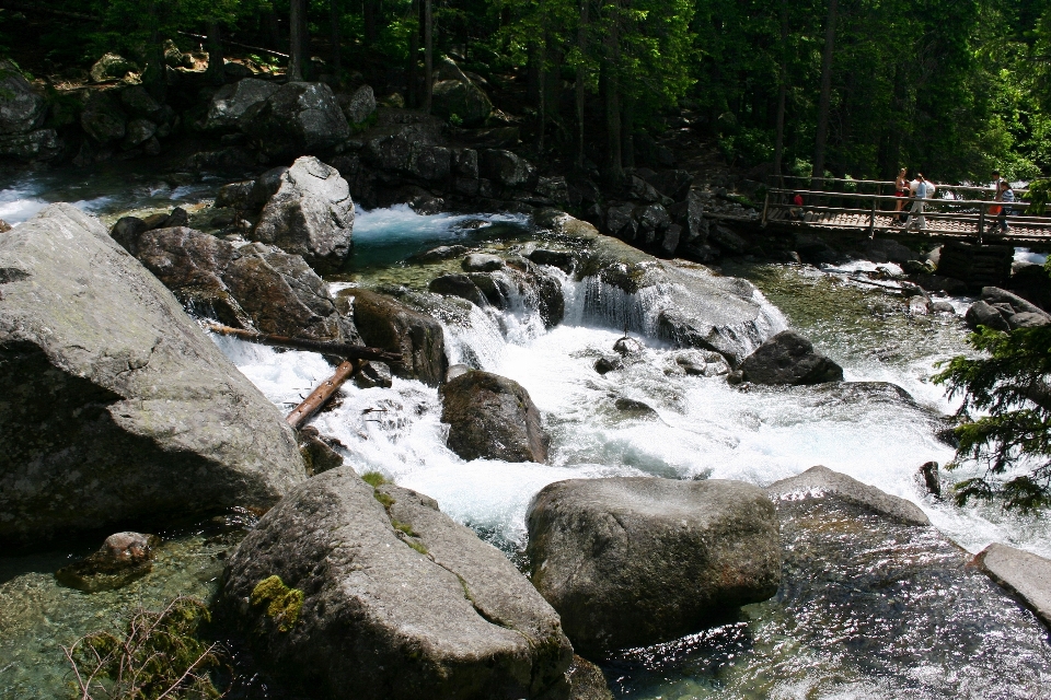 Eau nature rock cascade