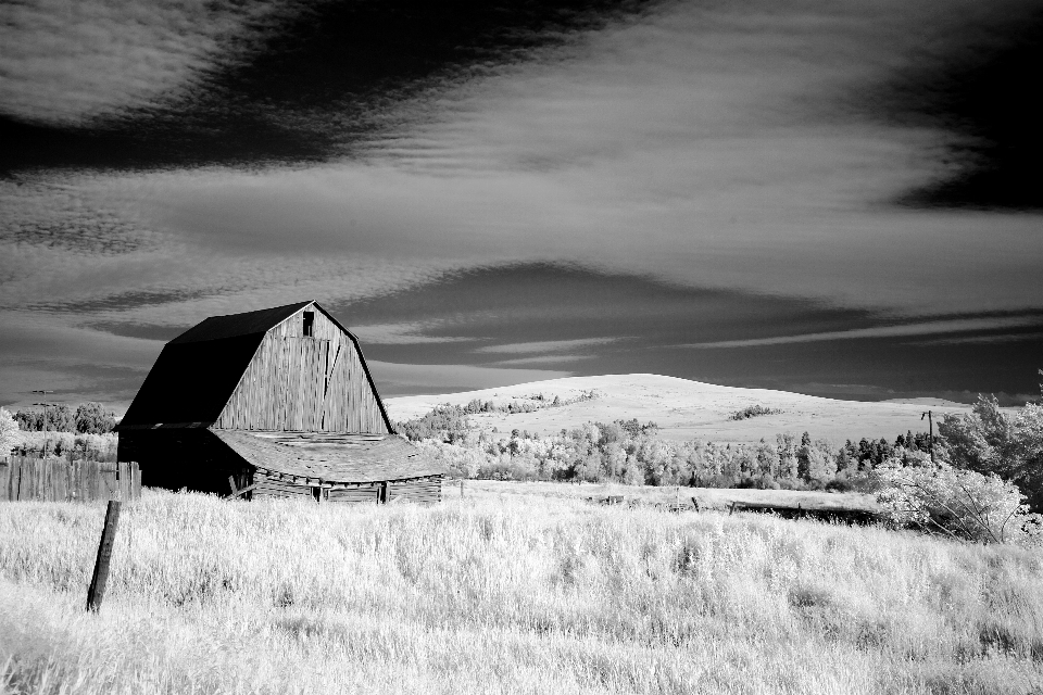 Landscape nature grass mountain