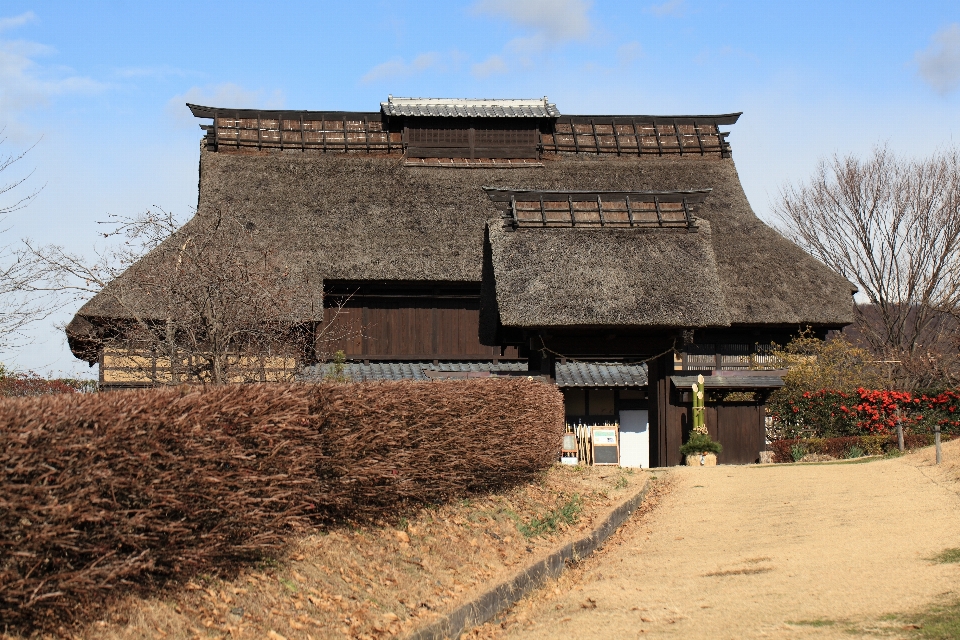 建筑学 农场 房子 屋顶