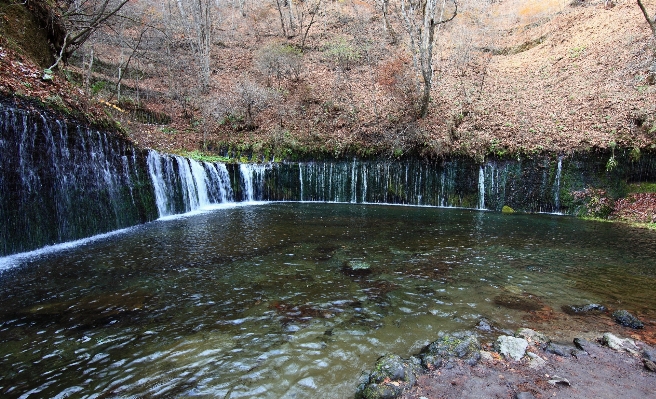 水 滝 花 川 写真