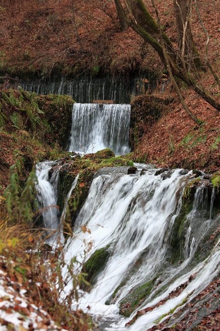 Eau cascade ruisseau
 rivière