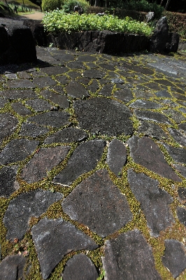 草 rock 芝生 石畳
 写真