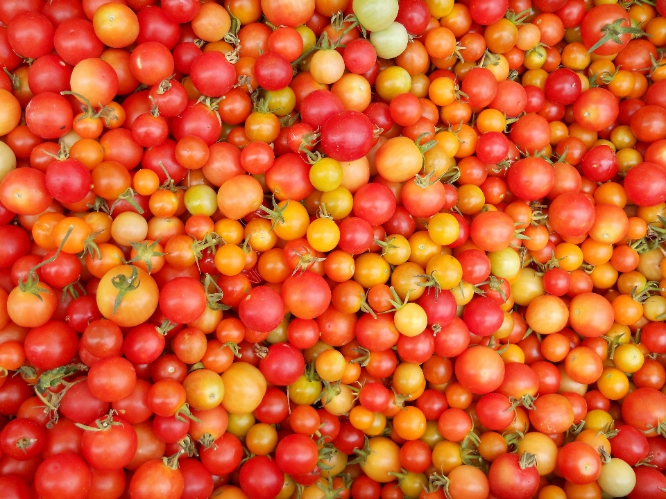 Planta fruta comida alimento