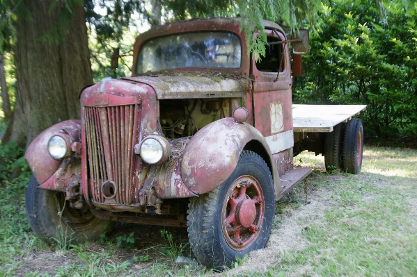 Car antique automobile retro Photo