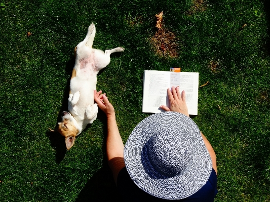 Hand grass book read Photo