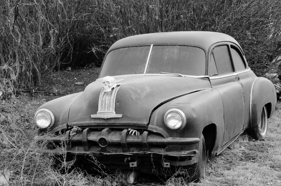 Hitam dan putih
 mobil kendaraan halloween