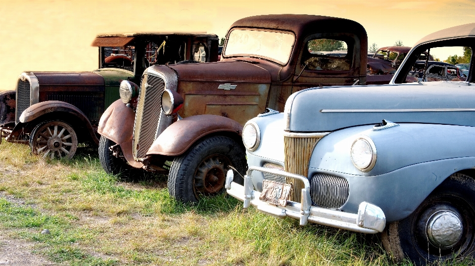 Carro transporte caminhão veículo