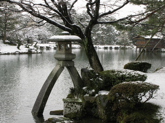 Tree water branch snow Photo