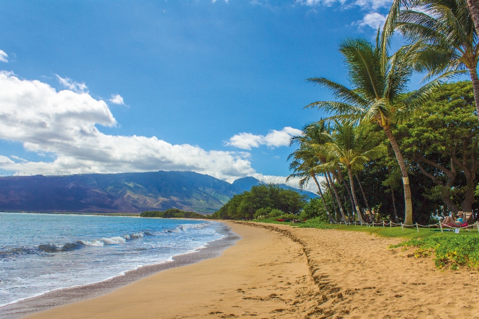 Plage paysage mer côte