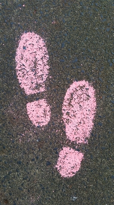 Hand road leaf flower Photo