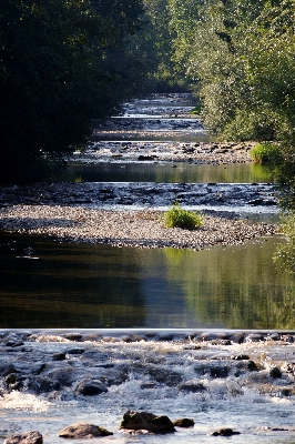 Landscape tree water nature Photo