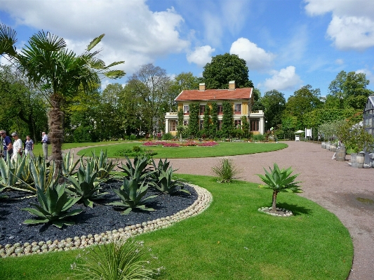 Landscape grass lawn flower Photo