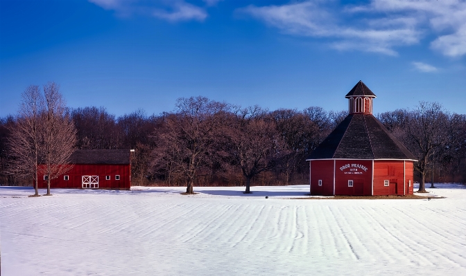 Landscape nature forest snow Photo