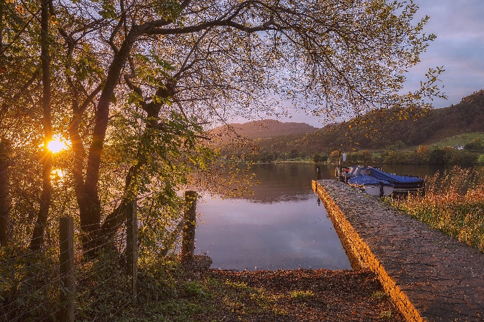 Krajobraz drzewo woda natura