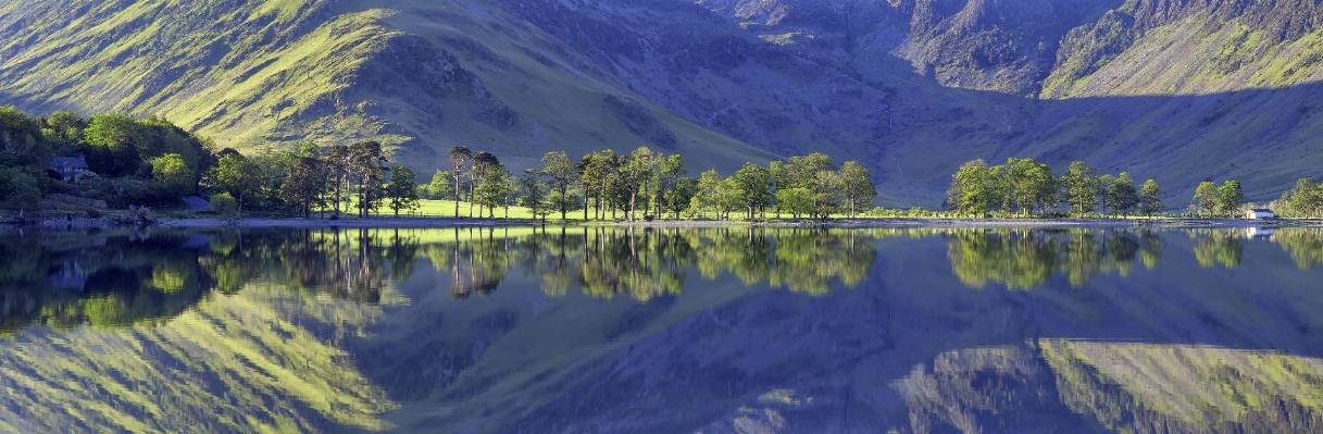 Landscape tree nature wilderness Photo