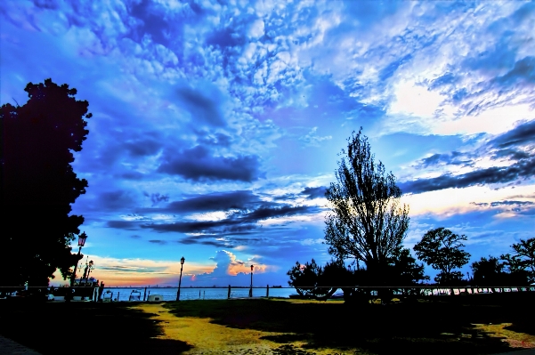 Tree horizon cloud sky Photo