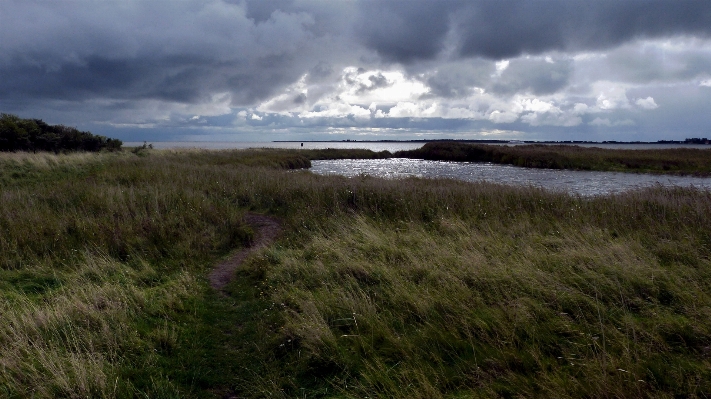 Landscape sea coast nature Photo