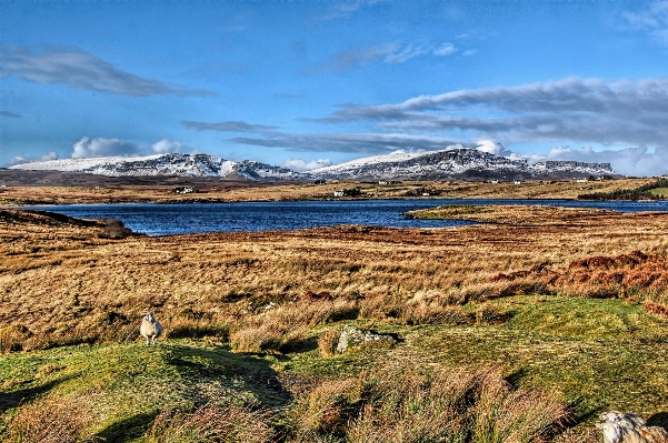 Landscape sea coast rock Photo