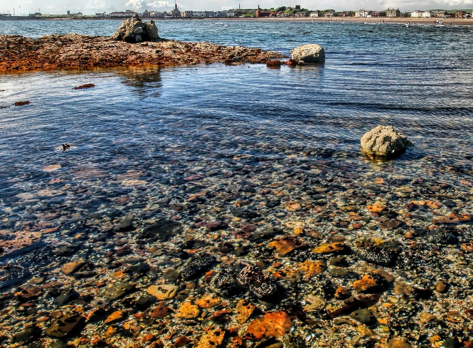 海滩 海 海岸 rock