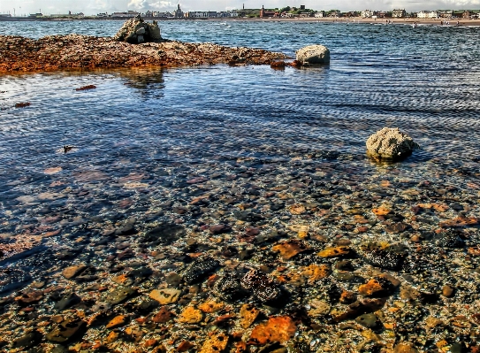 Beach sea coast rock Photo