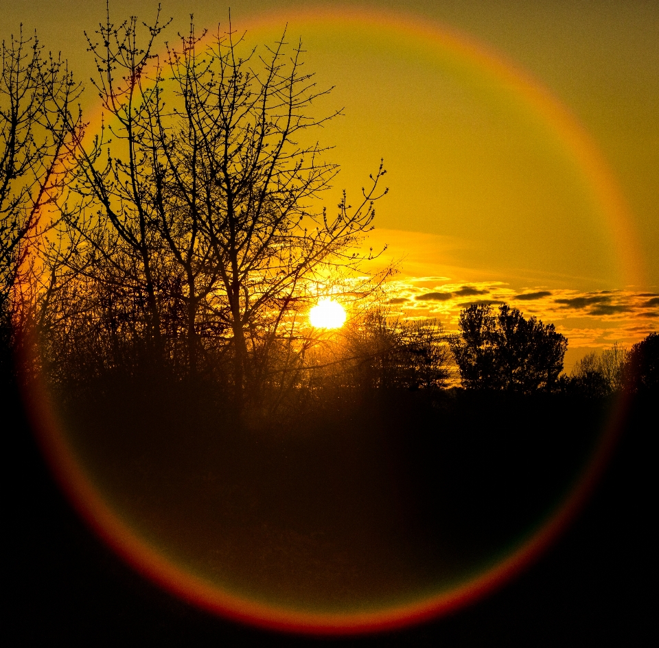 Naturaleza silueta luz cielo