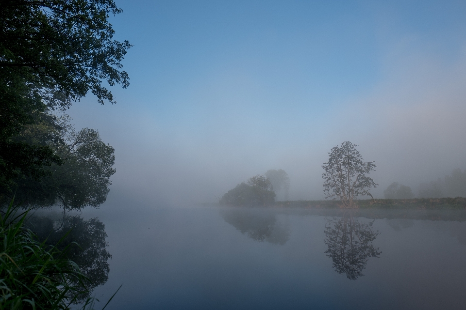 Paysage arbre eau nature