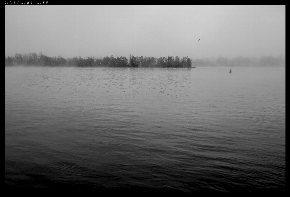 Paysage eau horizon noir et blanc
