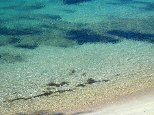 Beach sea sand ocean Photo