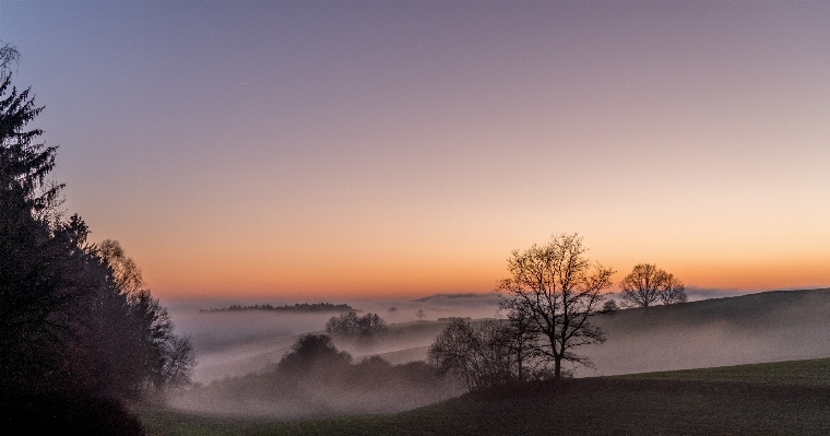 Landscape tree nature horizon Photo