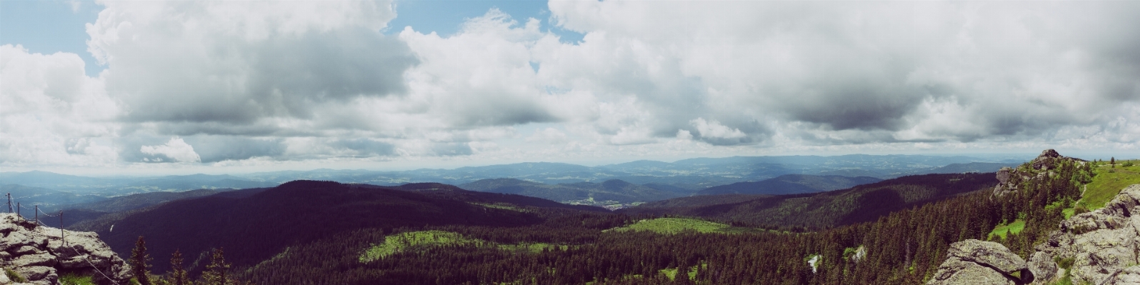 Landscape nature forest rock Photo