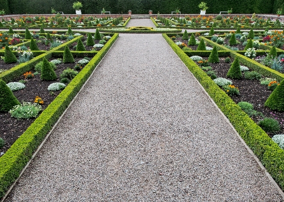 Landscape path grass outdoor Photo