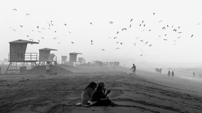 Foto Pantai lanskap laut burung