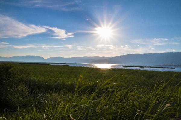 Landscape sea coast nature Photo