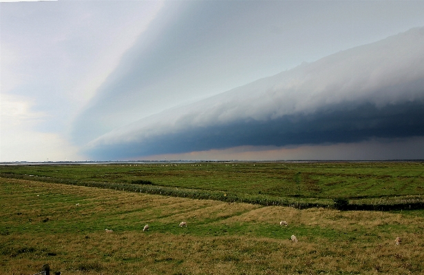 Landschaft natur gras horizont Foto