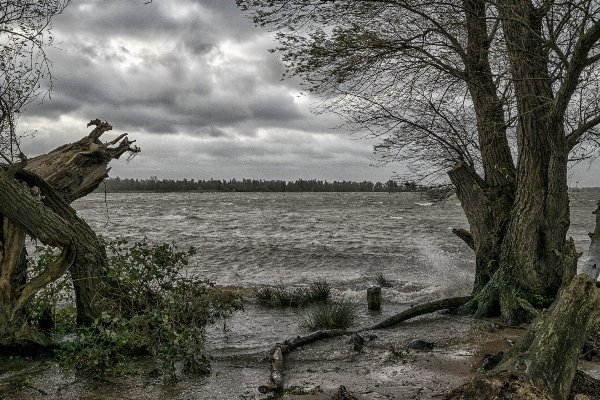 Landschaft baum wasser natur Foto