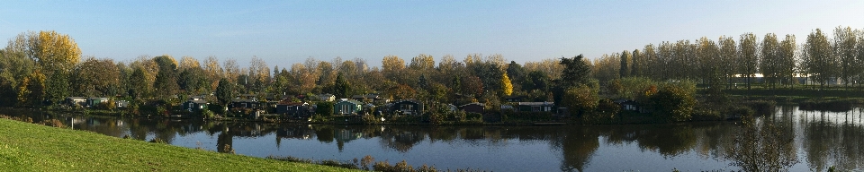 Landschaft baum wasser natur