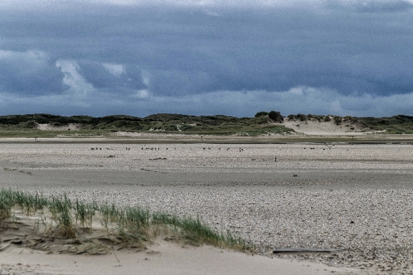 Beach landscape sea coast Photo