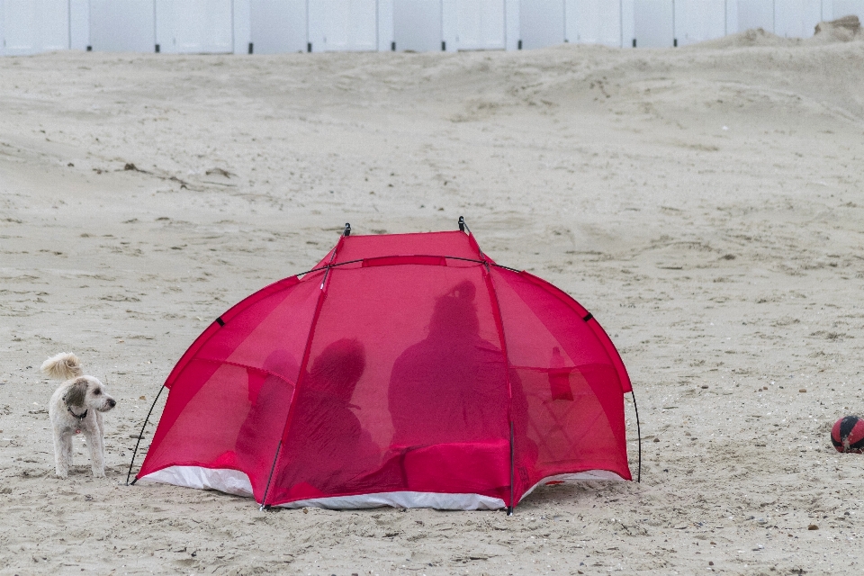 Beach outdoor sand photo