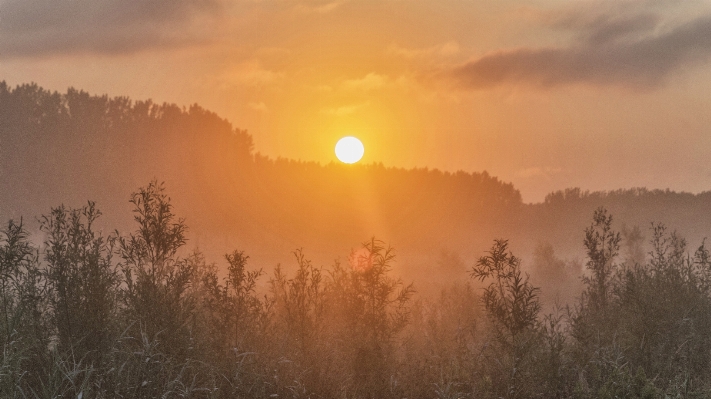 Nature grass outdoor mountain Photo