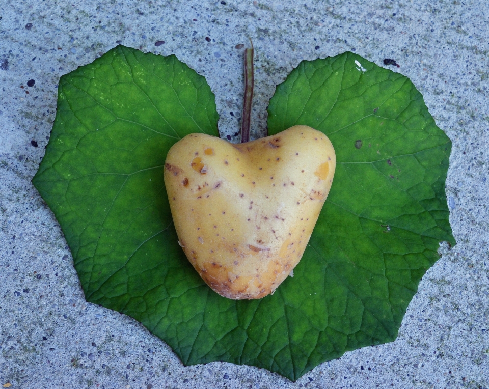 Nature usine fruit doux