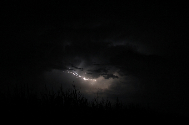 Nature cloud black and white sky Photo