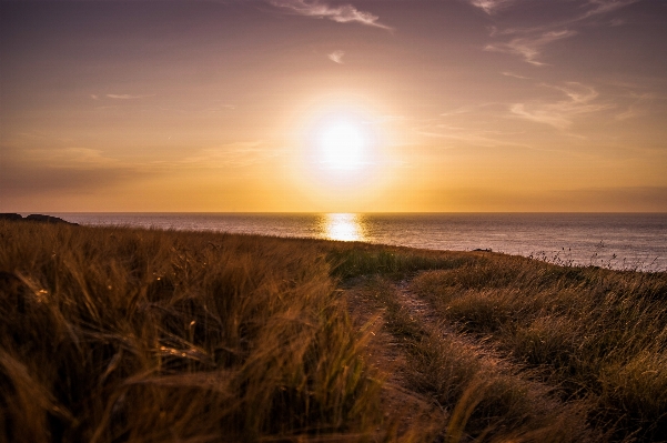 Beach landscape sea coast Photo