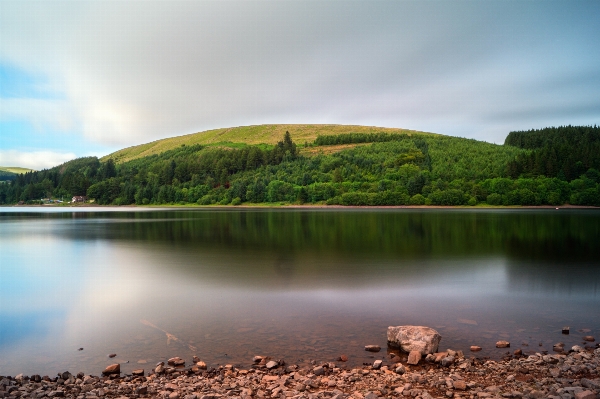 Landscape sea tree water Photo